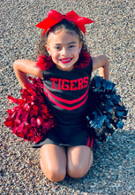Load image into Gallery viewer, Cheerleading TOP ONLY