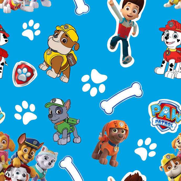 Boy paw patrol
